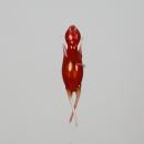 Flaschenteufel Wassertanzer rot